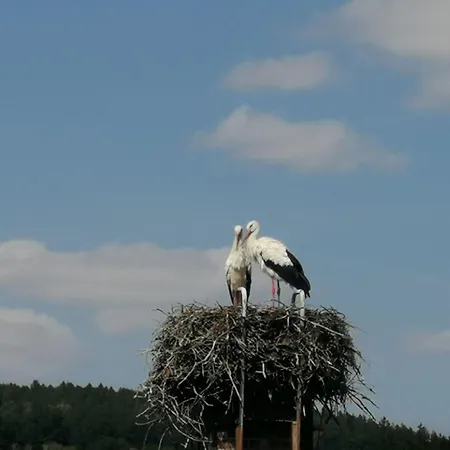 Apartment Naturblick Karla Roessler By Interhome Gruna