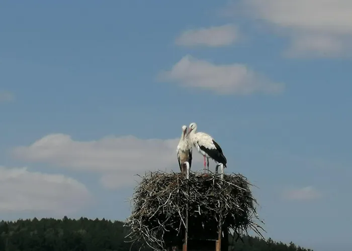 Naturblick Karla Roessler By Interhome Chemnitz